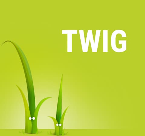 Moteur de template Twig Flexible, rapide et sécurisé !